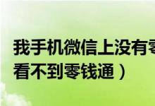 我手机微信上没有零钱通怎么解决（我的微信看不到零钱通）