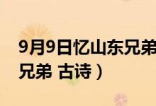 9月9日忆山东兄弟古诗完整（9月9日忆山东兄弟 古诗）