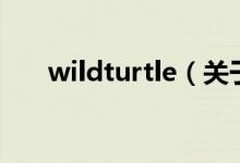 wildturtle（关于wildturtle的介绍）