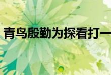 青鸟殷勤为探看打一动物（青鸟殷勤为探看）