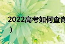 2022高考如何查询自己的录取状态（去哪查）