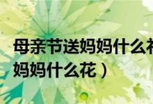 母亲节送妈妈什么礼物简单又好看（母亲节送妈妈什么花）