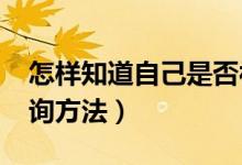 怎样知道自己是否被录取（2022录取状态查询方法）