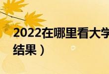 2022在哪里看大学录取情况（怎么查询录取结果）