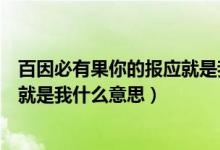 百因必有果你的报应就是我什么意思（百因必有果你的报应就是我什么意思）