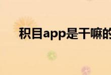 积目app是干嘛的（积目app约p记录）