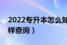 2022专升本怎么知道自己有没有被录取（怎样查询）