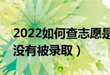 2022如何查志愿是否被录取（怎么看自己有没有被录取）