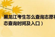 黑龙江考生怎么查询志愿状态（2022黑龙江高考志愿档案状态查询时间及入口）