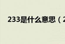 233是什么意思（234824九键什么意思）