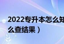 2022专升本怎么知道自己有没有被录取（怎么查结果）