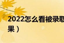 2022怎么看被录取了没有（如何查询录取结果）