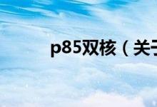 p85双核（关于p85双核的介绍）