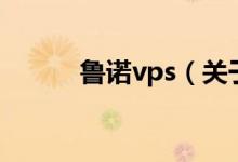 鲁诺vps（关于鲁诺vps的介绍）