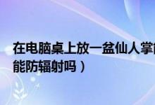 在电脑桌上放一盆仙人掌能防辐射吗（电脑前放一盆仙人掌能防辐射吗）