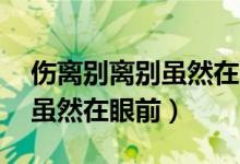 伤离别离别虽然在眼前说再见（伤离别 离别虽然在眼前）