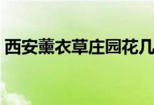 西安薰衣草庄园花几月开（西安薰衣草庄园）