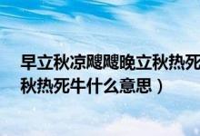 早立秋凉飕飕晚立秋热死牛什么意思?（早立秋凉飕飕晚立秋热死牛什么意思）