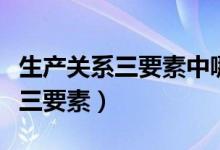 生产关系三要素中哪个占主要地位（生产关系三要素）