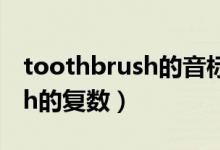 toothbrush的音标和中文意思（toothbrush的复数）