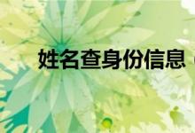 姓名查身份信息（姓名查身份证号码）