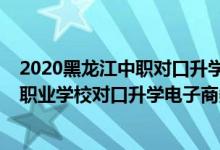 2020黑龙江中职对口升学本科招生计划（2022黑龙江中等职业学校对口升学电子商务一分一段表）