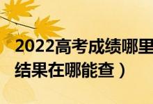 2022高考成绩哪里可以查询（2022高考录取结果在哪能查）