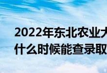 2022年东北农业大学录取时间及查询入口（什么时候能查录取）