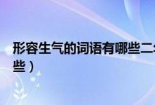 形容生气的词语有哪些二年级两个字（形容生气的词语有哪些）