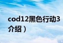 cod12黑色行动3（关于cod12黑色行动3的介绍）