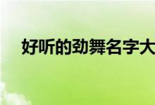 好听的劲舞名字大全（好听的劲舞名字）