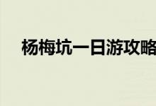 杨梅坑一日游攻略民宿（杨梅坑一日游）