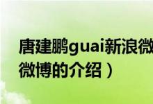 唐建鹏guai新浪微博（关于唐建鹏guai新浪微博的介绍）