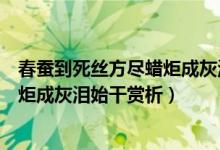 春蚕到死丝方尽蜡炬成灰泪始干的翻译（春蚕到死丝方尽蜡炬成灰泪始干赏析）