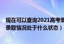 现在可以查询2021高考录取状态了吗（2022年怎么查高考录取情况处于什么状态）