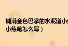 铺满金色巴掌的水泥道小练笔仿写（铺满金色巴掌的水泥道小练笔怎么写）