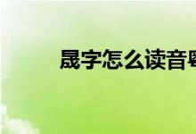 晟字怎么读音粤语（晟字怎么读）