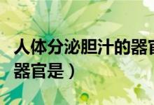 人体分泌胆汁的器官是哪个（人体分泌胆汁的器官是）