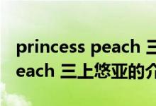 princess peach 三上悠亚（关于princess peach 三上悠亚的介绍）