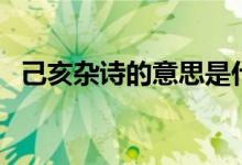 己亥杂诗的意思是什么（己亥杂诗的意思）