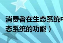 消费者在生态系统中的重要功能（消费者在生态系统的功能）