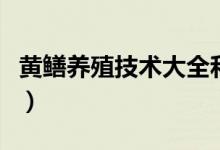 黄鳝养殖技术大全和利润（黄鳝养殖技术大全）