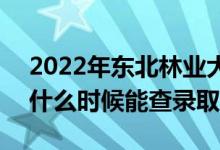 2022年东北林业大学录取时间及查询入口（什么时候能查录取）