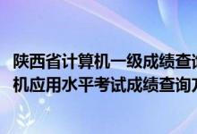 陕西省计算机一级成绩查询时间（陕西2022上半年全国计算机应用水平考试成绩查询方法）