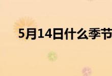 5月14日什么季节（5月14日什么日子）