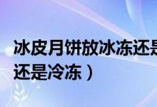 冰皮月饼放冰冻还是冷藏（冰皮月饼是要冷藏还是冷冻）