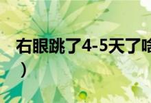 右眼跳了4-5天了啥情况（右眼跳是什么情况）