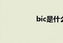 bic是什么意思（bic）