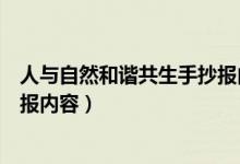 人与自然和谐共生手抄报内容初中（人与自然和谐共生手抄报内容）