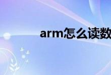 arm怎么读数据（arm怎么读）